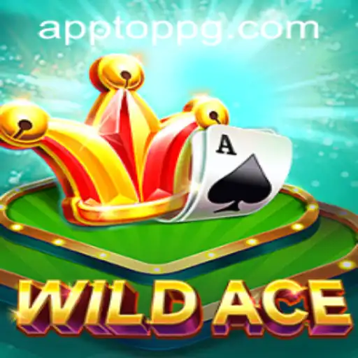 Discovering WildAce: The Exciting New Game Sweeping the Nation